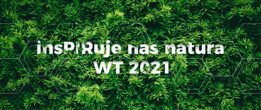 Termomodernizacja i WT 2021 z Gór- Stalem